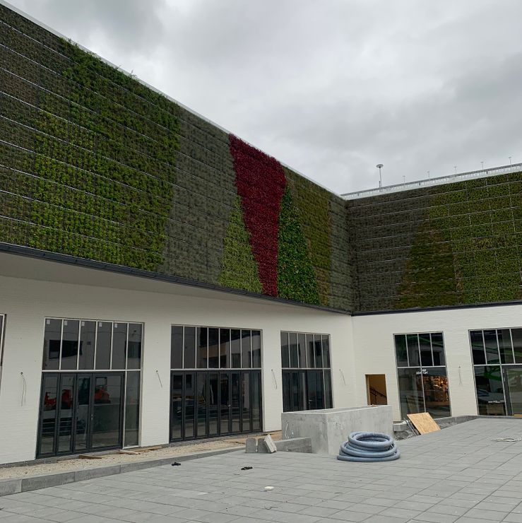 Grøn væg beklædning - Amagercenteret